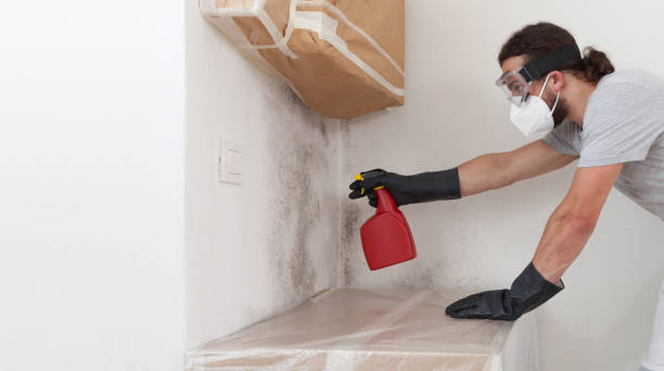 Professional Crawl Space Mold Removal technician working in Ridge, NY
